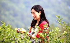 my3119.蜜芽come.网页